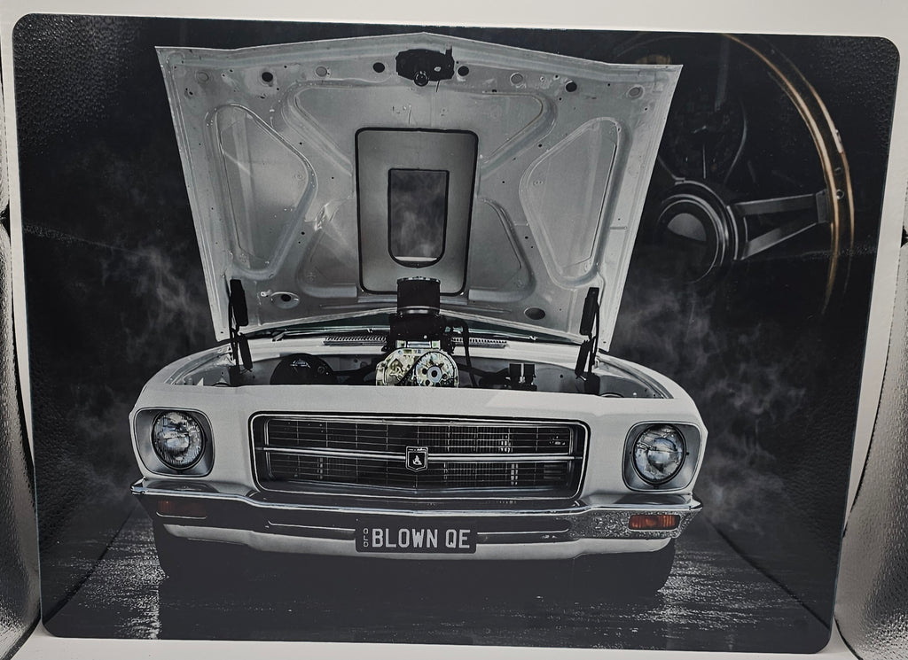 Custom Metal Print